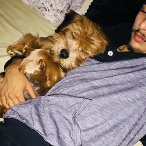 Meet your Posher, Omar